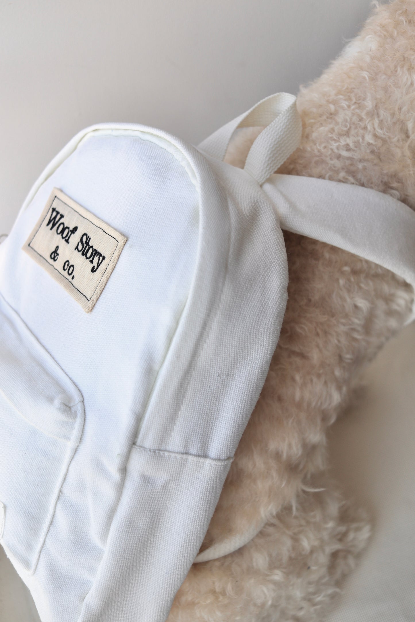 Custom Mini Backpack