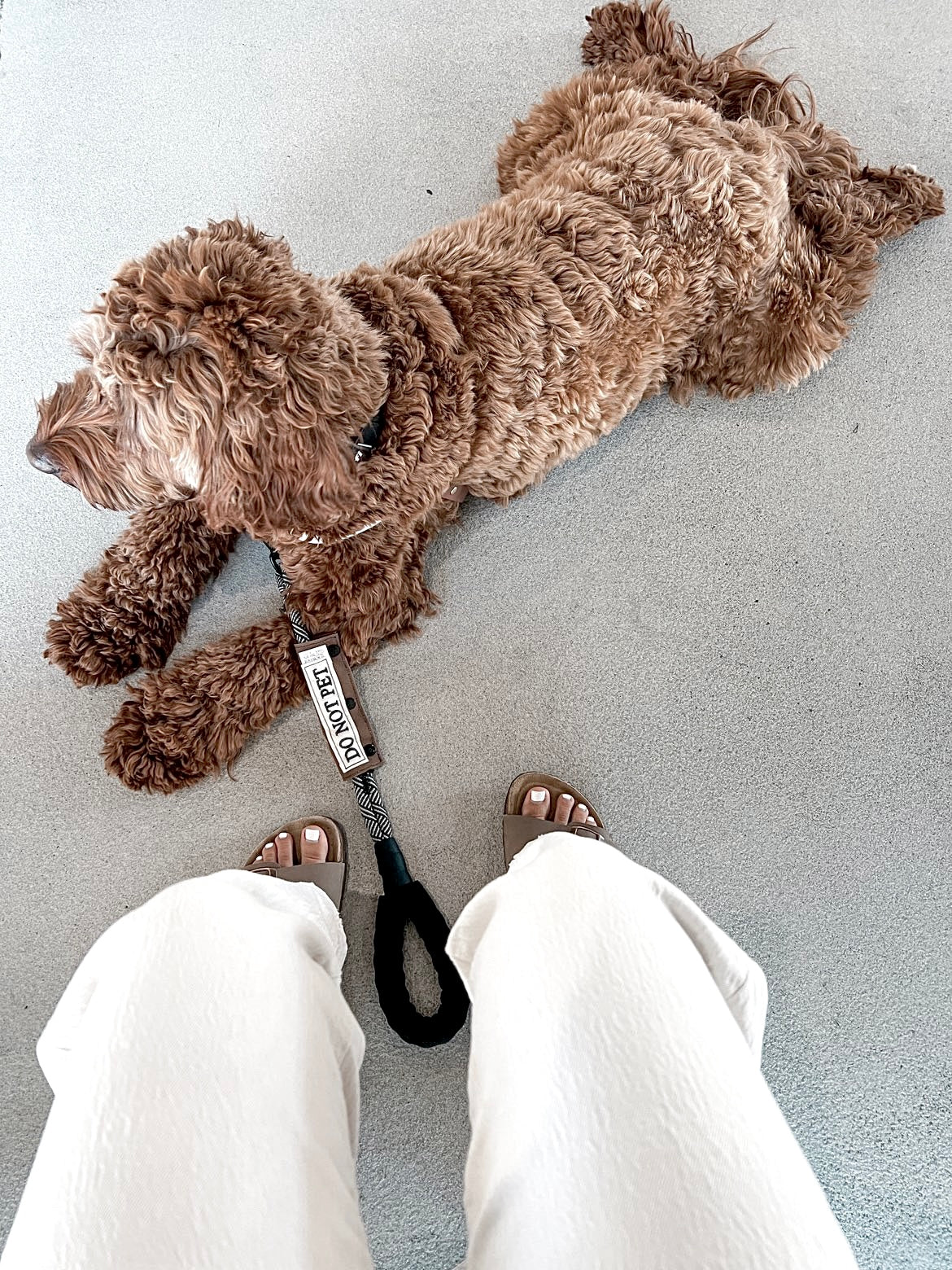 Leash Sleeve