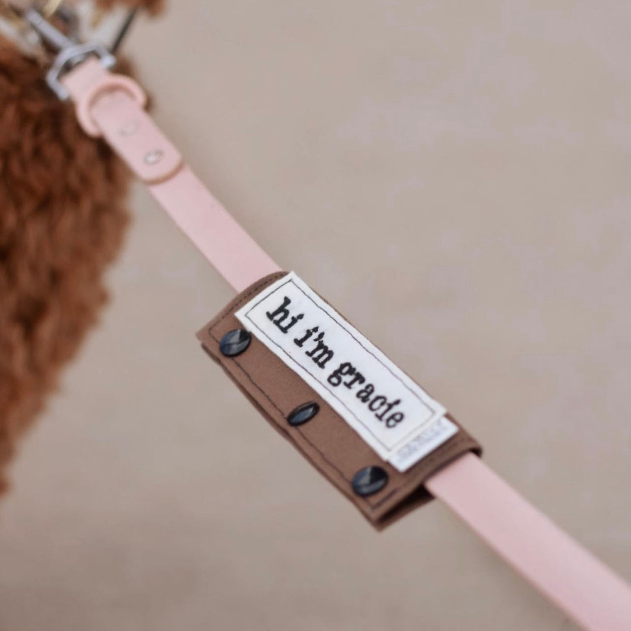Leash Sleeve