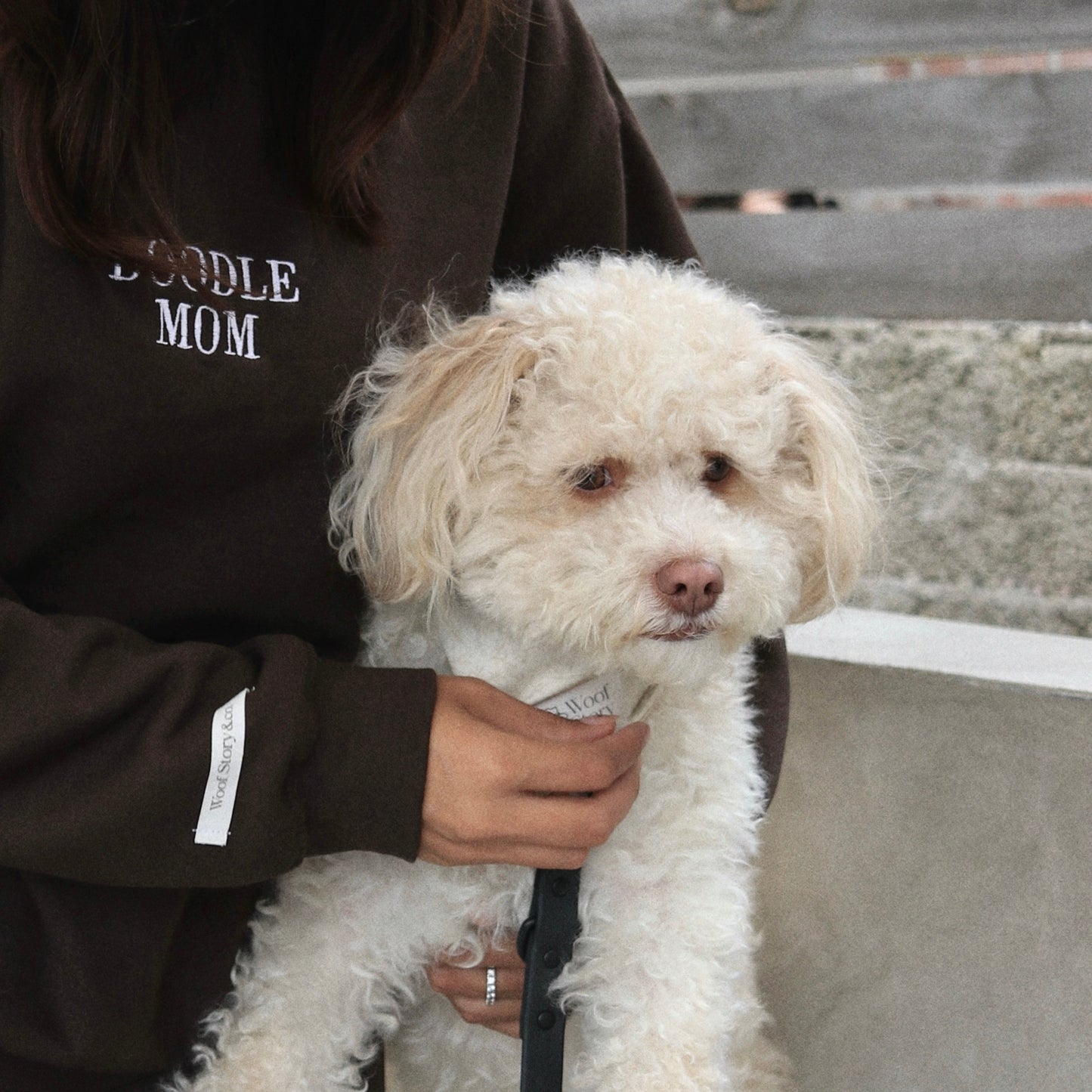 Custom Dog Mom Sweatshirt