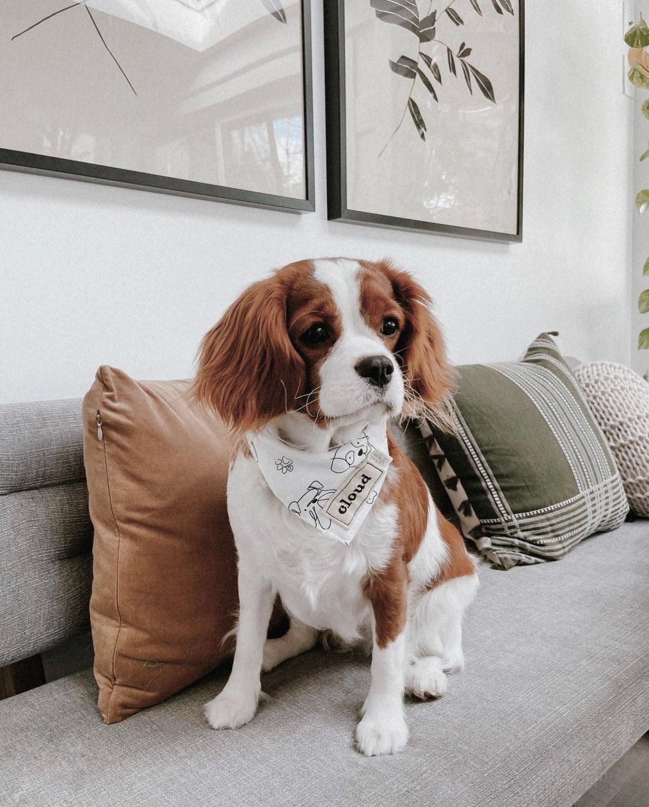 Custom Bandana