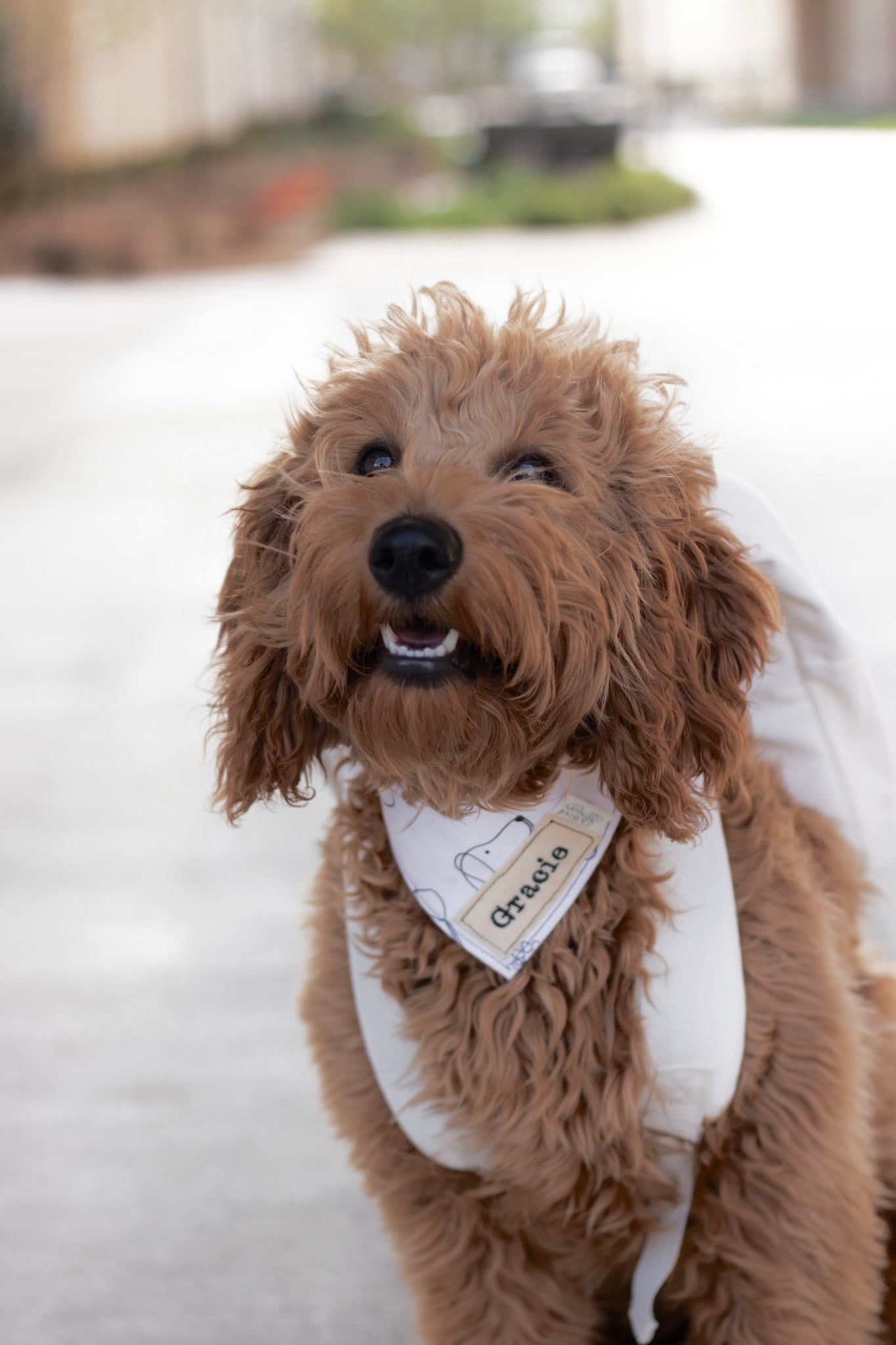 Custom Bandana
