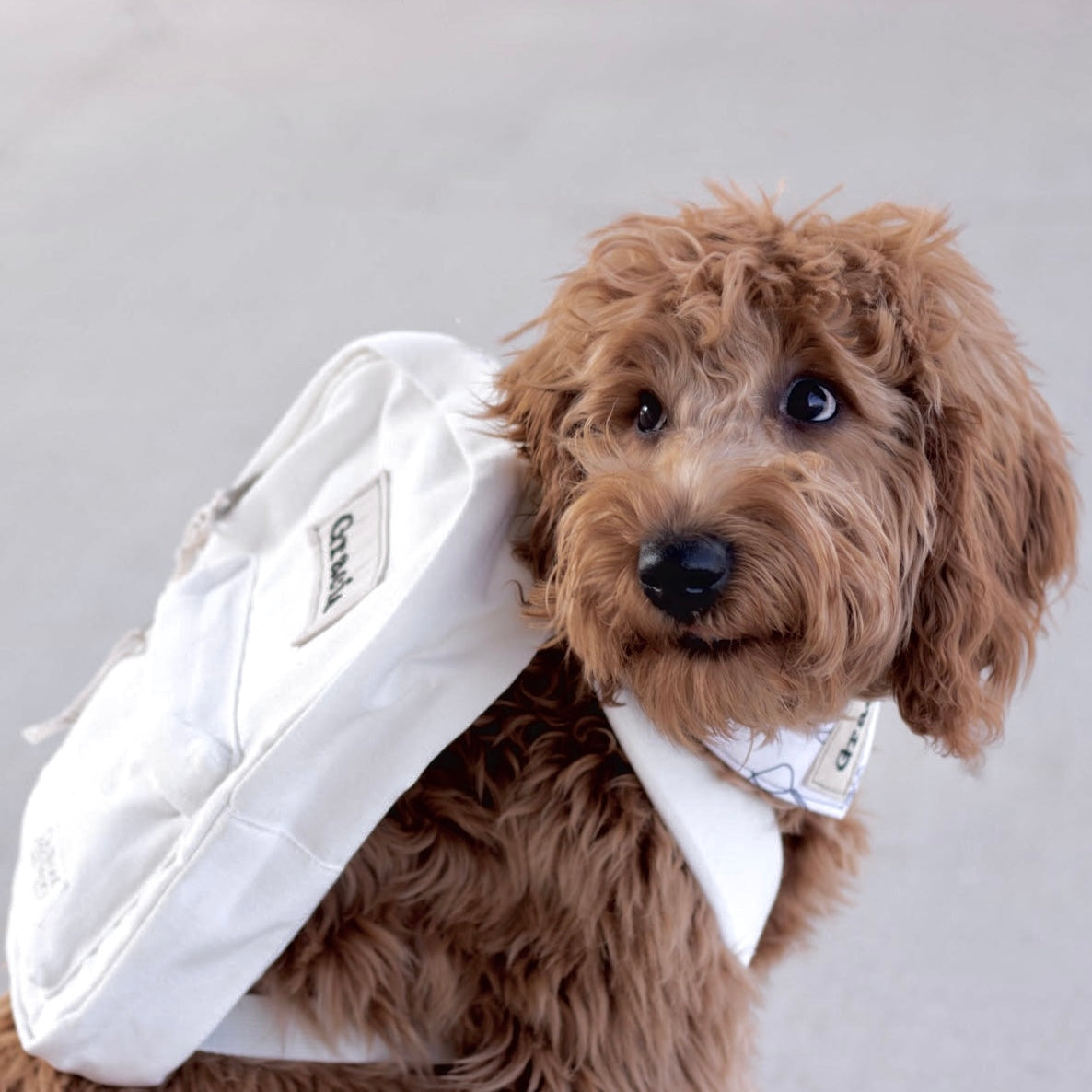 Custom Mini Backpack