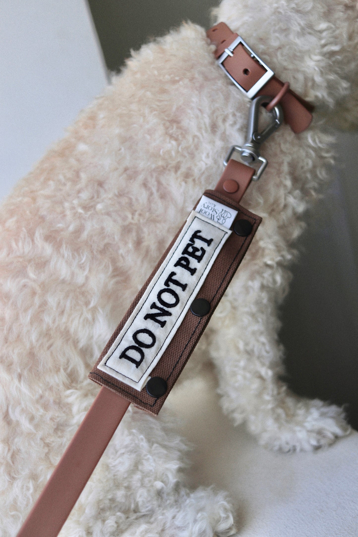 Leash Sleeve