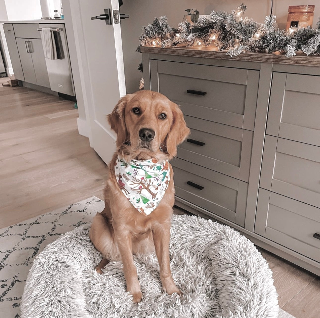 'Tis The Season