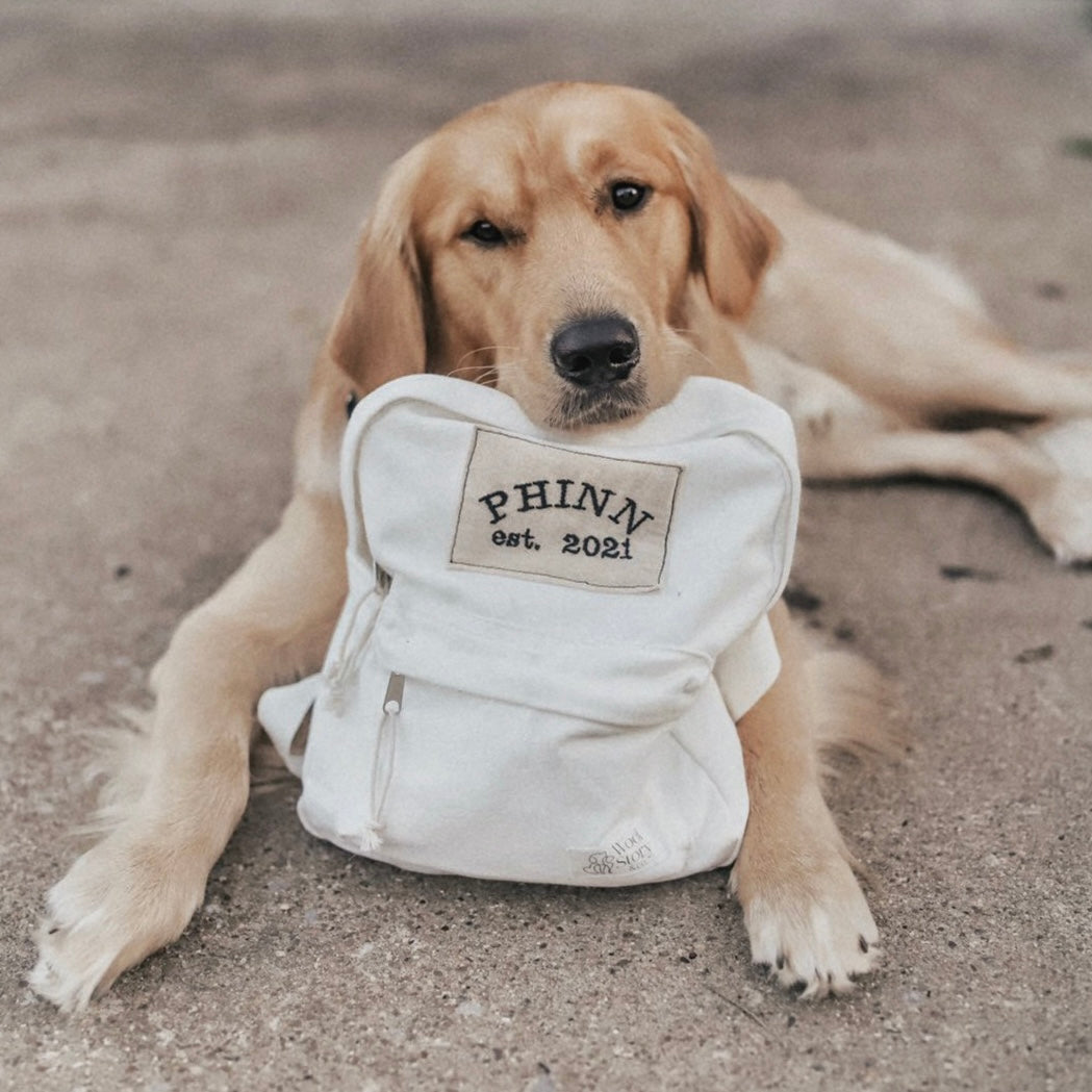 Custom Mini Backpack – Woof Story & Co