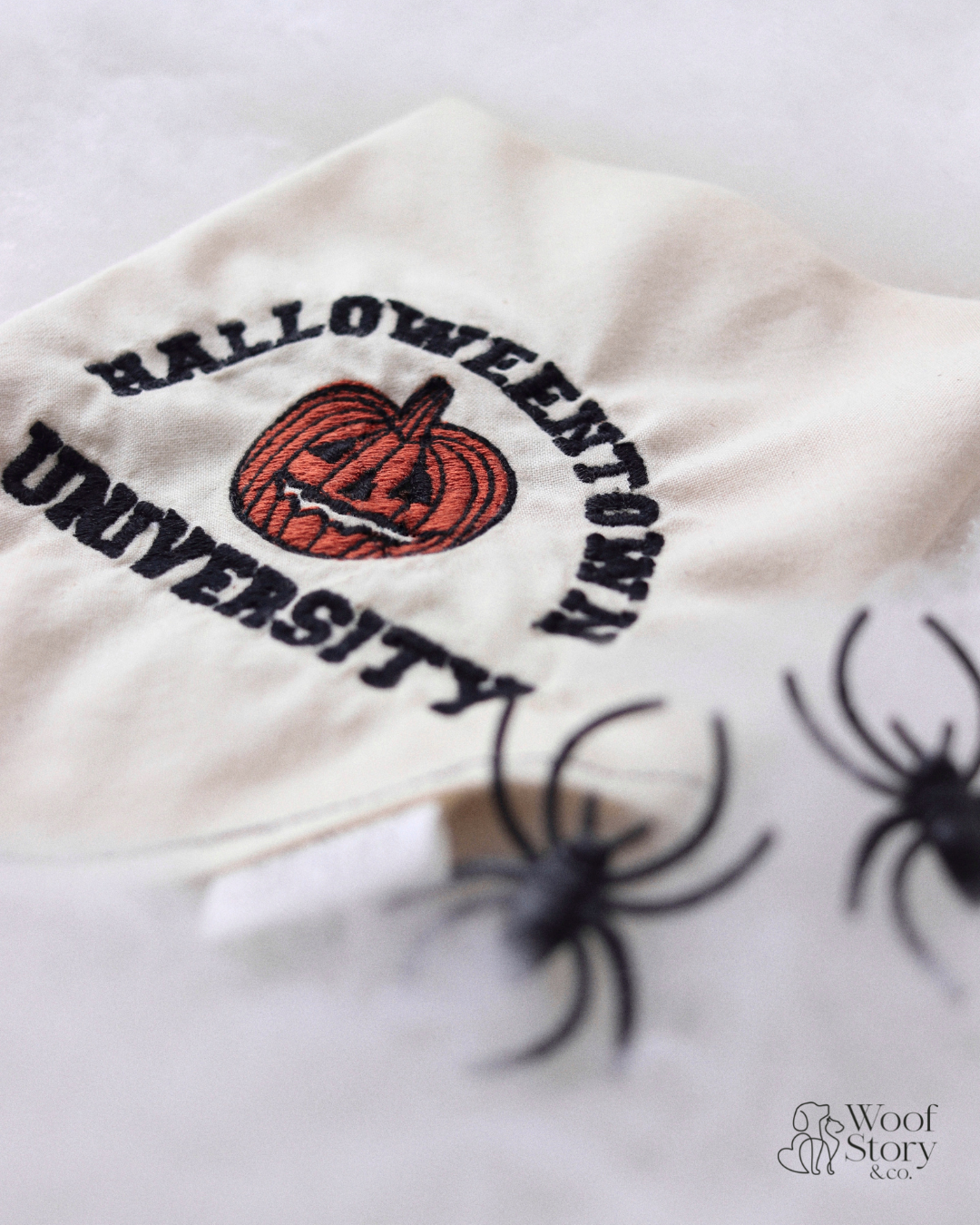 Halloweentown University