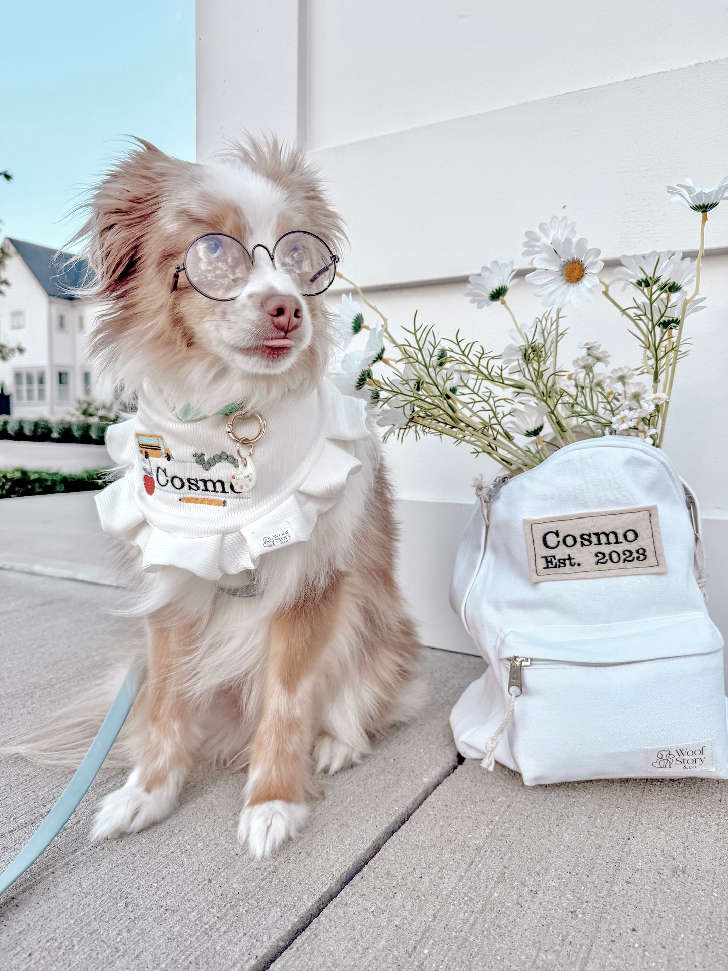 Teacher’s Pet
