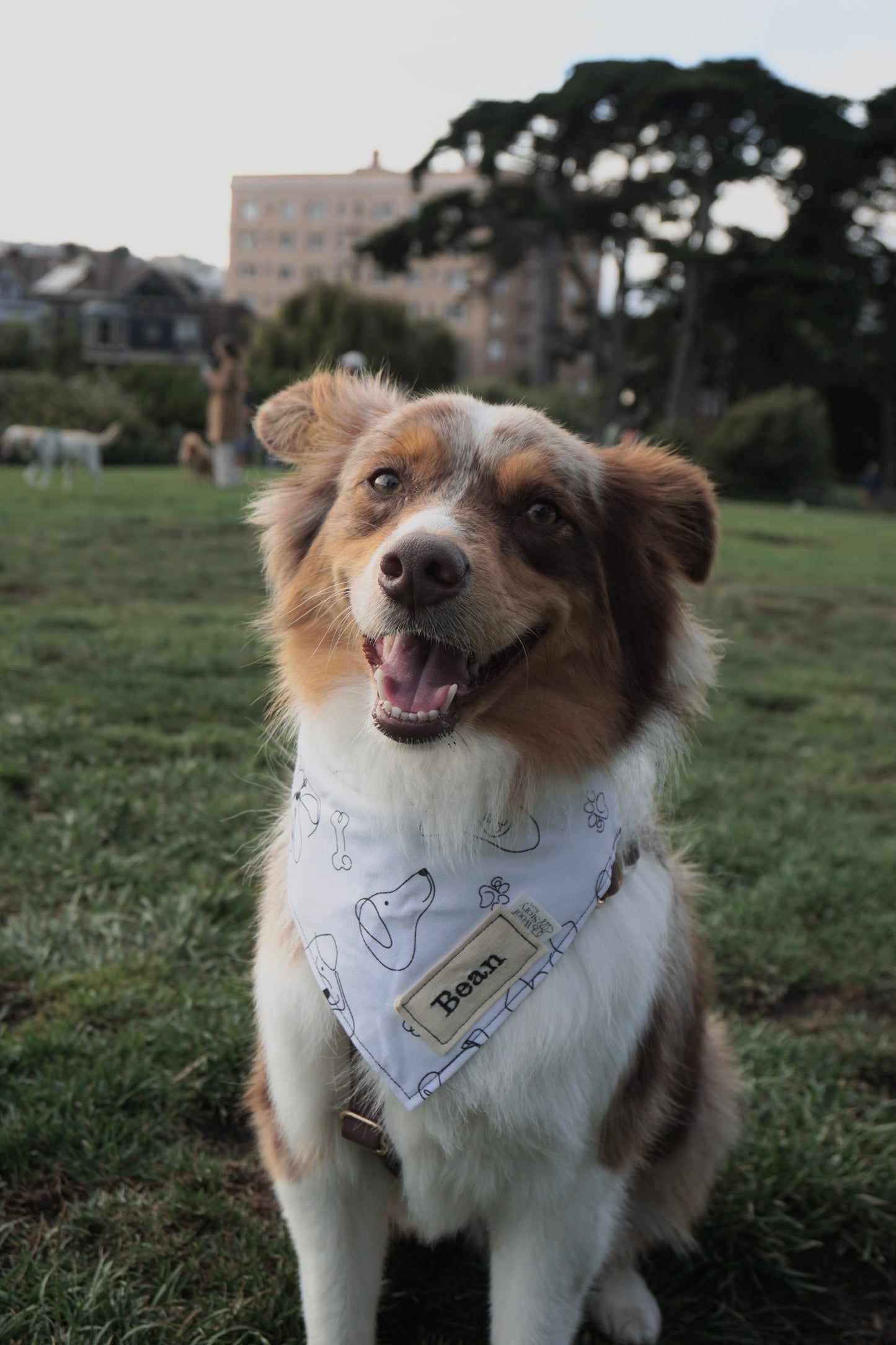 Custom Bandana